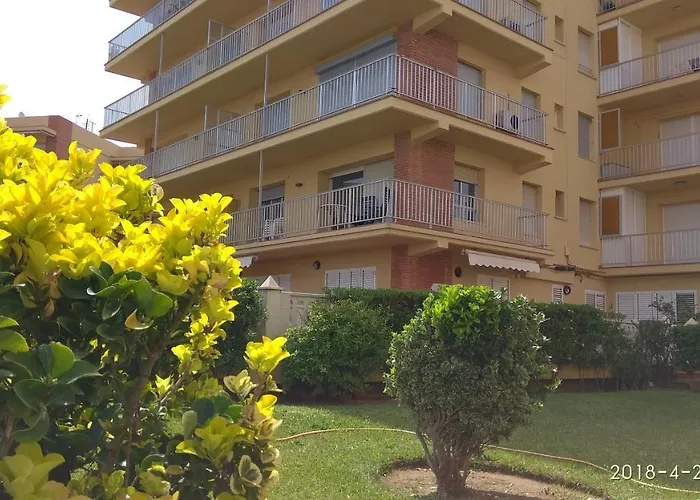 Primera Linea De Mar דירה *